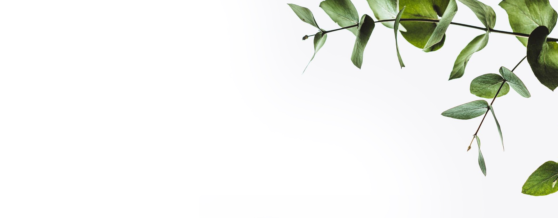 Butterberry Home Page