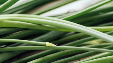 Lemongrass benefits and usage